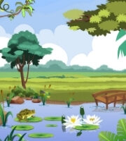 Fun Basket Game Level Location Two