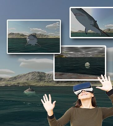 Shark Attack Game Features