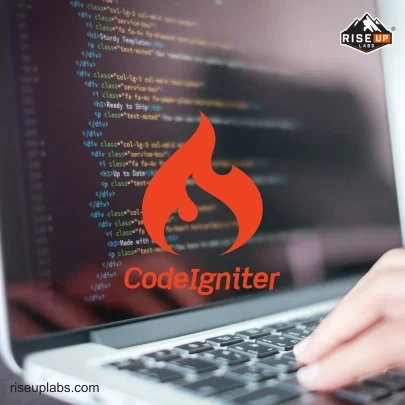 CodeIgniter Web Development Services