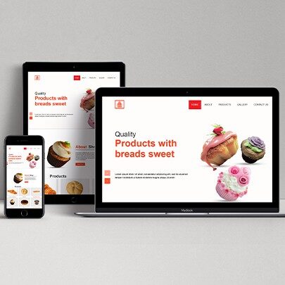 Custom Web Application Development Services