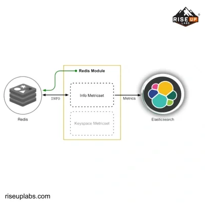 ElasticSearch Development Services
