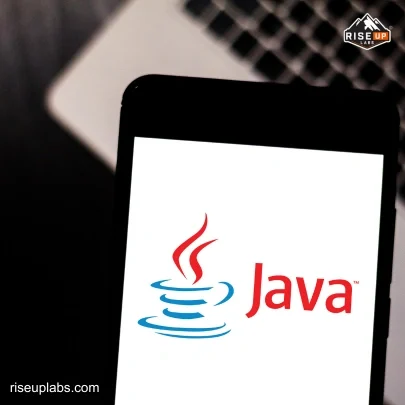 Java Web Development Services