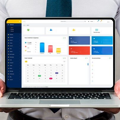 Management Information System (MIS) Development Services