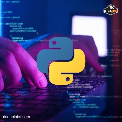 Python Web Development Services