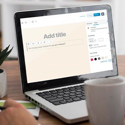 WordPress Plugin Development Services