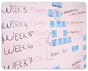 100% Transparency - Hire from Riseup Labs