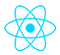 React.JS icon