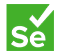 Selenium icon