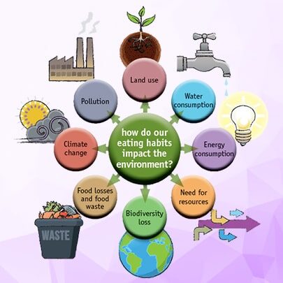 Why is NCB Fit for the Target Audience