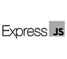 Express.js Icon