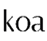 Koa.js Icon