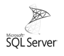 Microsoft SQL Server Icon