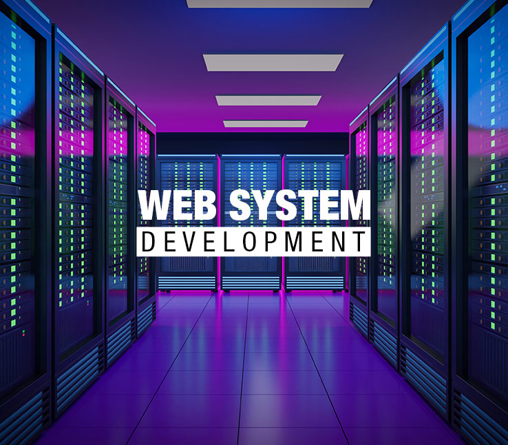 Web based system development