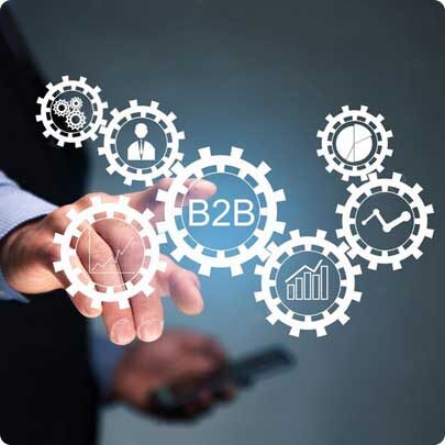 .NET B2B Portal Development