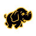 Apache Hadoop icon