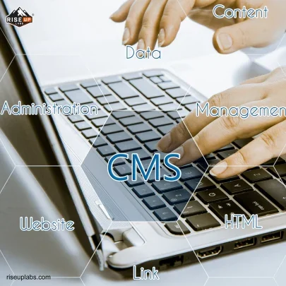 CMS Web App Development Services at Web App Development Service Provider Riseup Labs