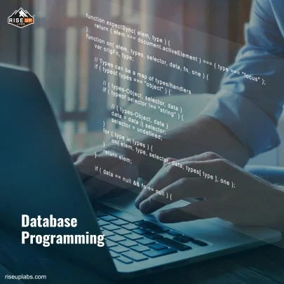 Database Programming Services by Web Maintenance Service Provider Riseup Labs