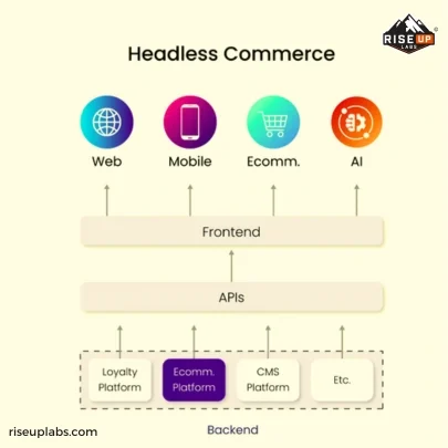 Headless eCommerce Web Development at eCommerce web development company Riseup Labs