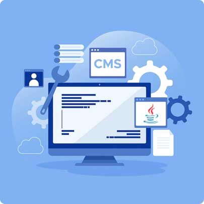 Java CMS Development