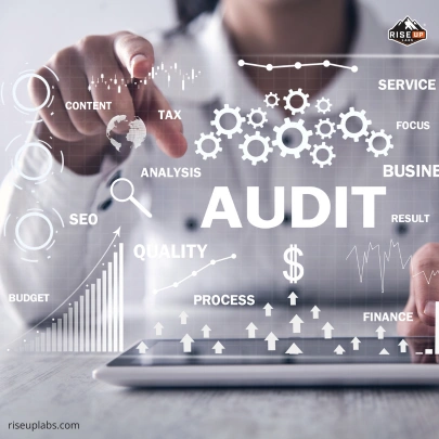 Theme Reviews and Audits Services by wp theme development service provider Riseup Labs