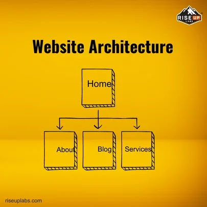 Website Architecture at website development company Riseup Labs