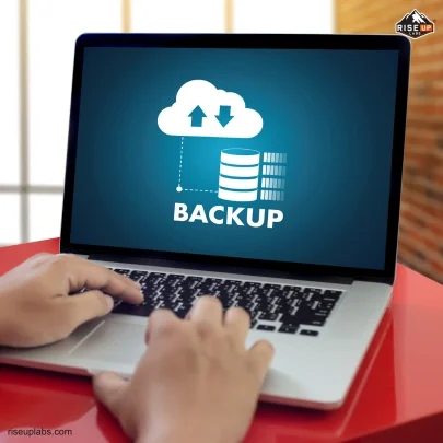 Regular Website Backup Services