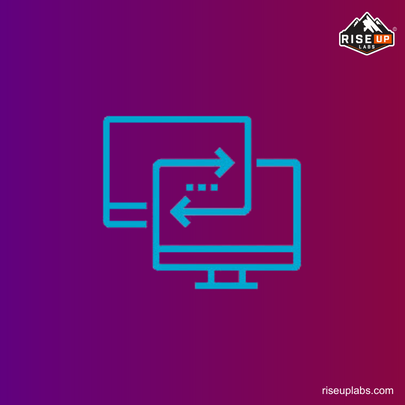 Website Integration Services at website development firm Riseup Labs