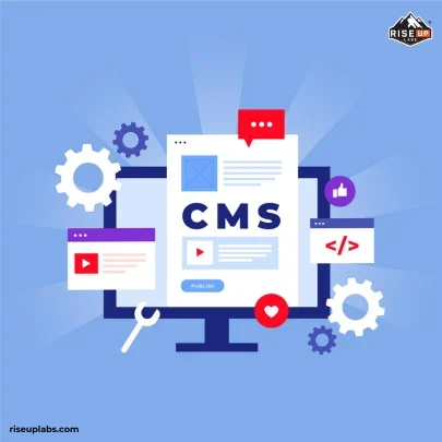 WordPress CMS Development Services by WordPress Development Agency Riseup Labs