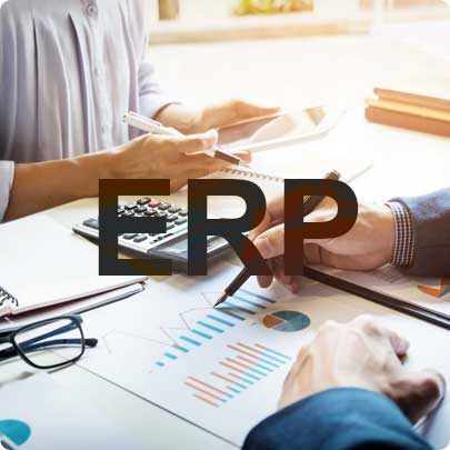 Financial Management ERP