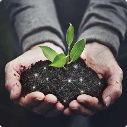 Hire Unreal Developers for Agritech