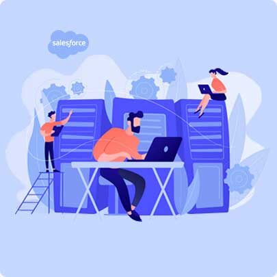 Salesforce Administration Consultants