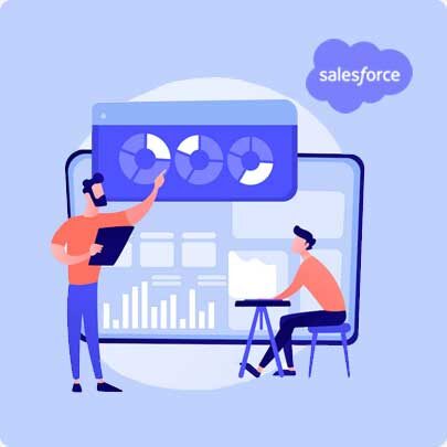Salesforce Customization Consultants