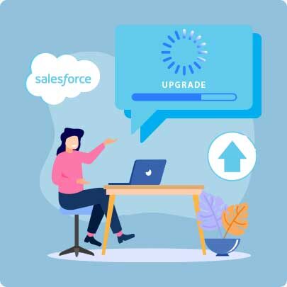 Salesforce Upgrade Consultants
