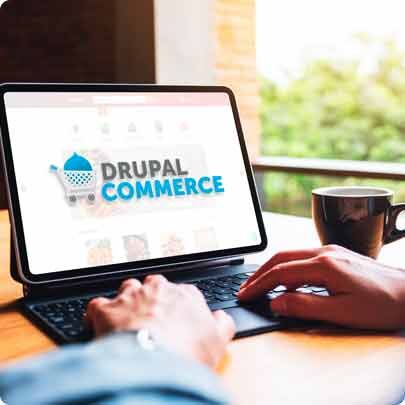 Drupal Ecommerce Development Services