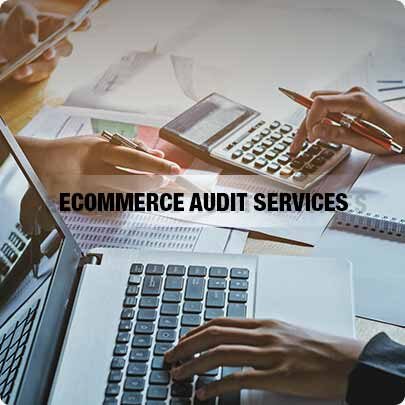 Ecommerce Audit Services