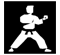 Karate DSL Icon