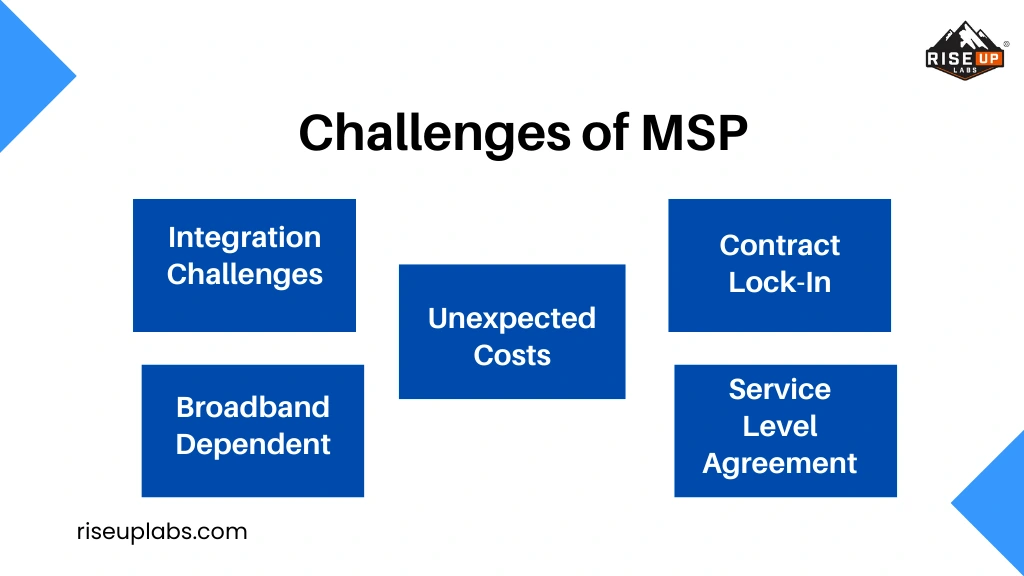 Challenges of MSP Riseuplabs