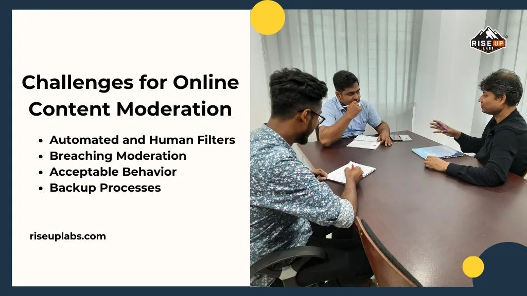 Challenges for Online Content Moderation