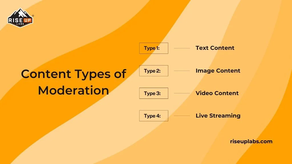 Content Types of Moderation