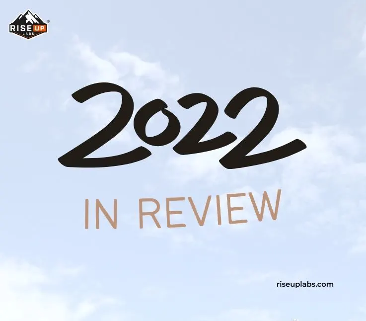 Riseup Labs Year in Review 2022 insight inner thumbnail image
