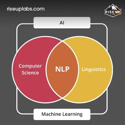 Natural Language Processing (NLP)