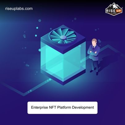 Enterprise NFT Platform Development