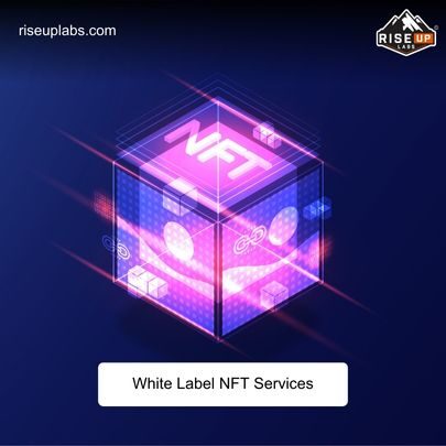 NFT development services for White Label NFT services and Solutions