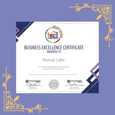 The Bizz Hybrid Award Trophy and Certificate Thumbnail