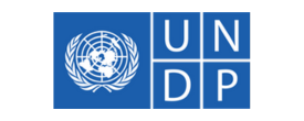 UNDP Contact Form Logo