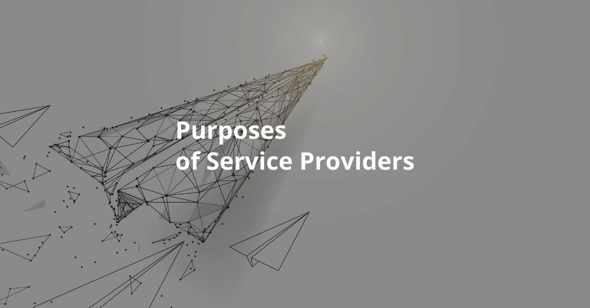 What is the purpose of a service provider