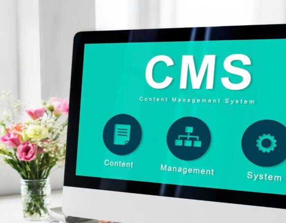 Disadvantages of Using Content Management Systems (CMS)