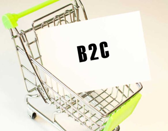 Which eCommerce Type is the Most Successful?