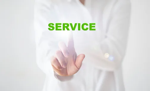 Business Process Management Services