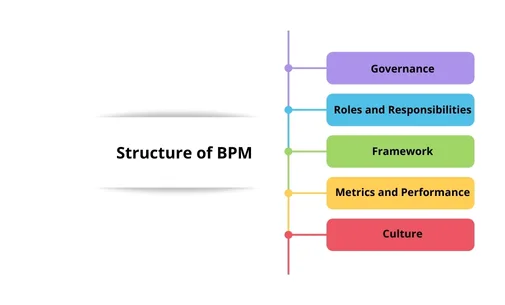 The Organization and the Structure of BPM